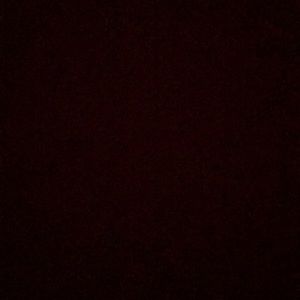 Meet your Posher, Beatriz